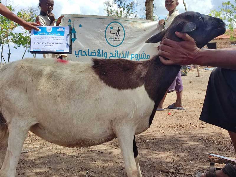 ذبيحة عقيقه بنية رد الاذى عن حنين فيصل صعوب شبلي عرب الشبلي- فلسطين