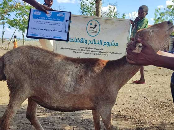 ذبيحه صدقه عن روح المرحوم أيمن سمارة الطيرة