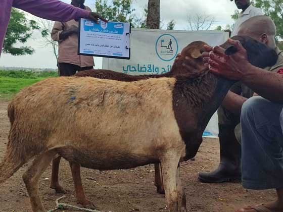 عقيقتان عن الطفل قيس وليد خالد حسن عبلين