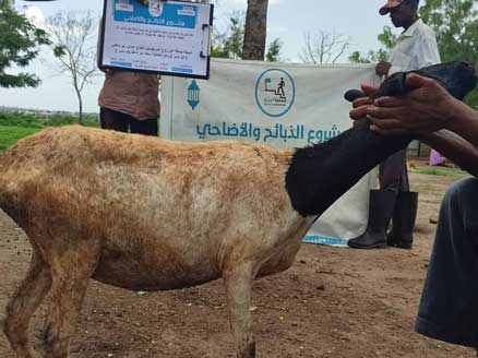 ذبيحة صدقه عن روح المرحومين الحاج عدنان ابو داهش ( ابو منير ) وعن الحاجة سعاد ابو داهش(ام منير ) الفريديس