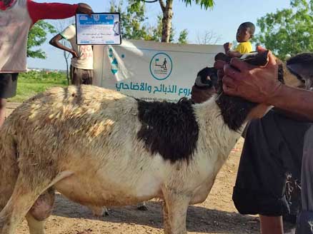ذبيحتان صدقة عن المرحوم محمد عبد غنايم ابو رفيق سخنين