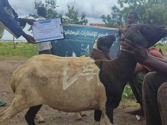 ذبيحتان مع اطعام صدقه عن روح المرحوم مالك سعيد ابو فول جت المثلث