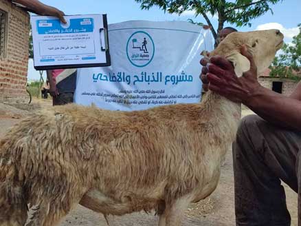 ذبيحة عقيقة عن غنى طلال طايل اشتيه سالم