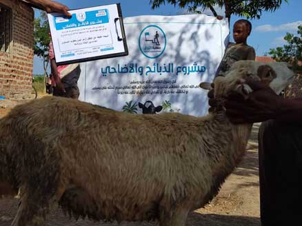 ذبيحه عقيقه عن الطفل أزهر ايمن يعقوب عيساوي  اهداء من الخاله واولادها جت المثلث
