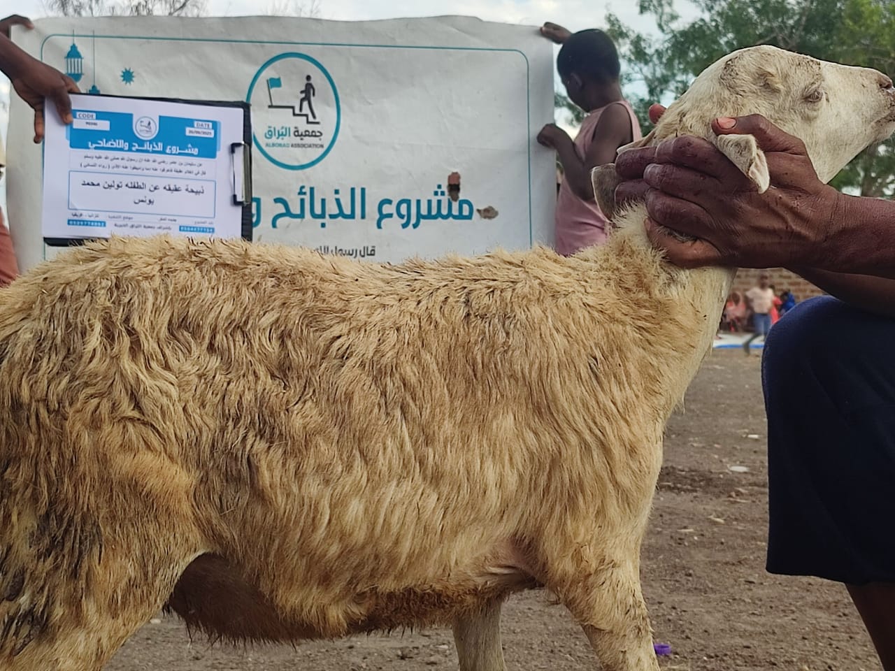 ذبيحة عقيقه عن الطفله تولين محمد يونس جديده المكر