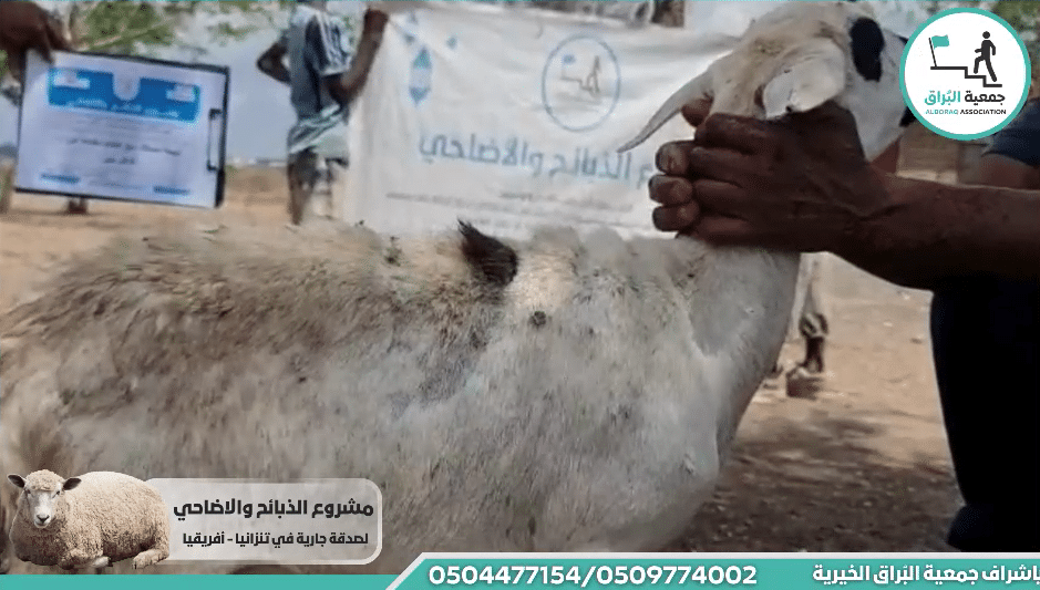 ذبيحة صدقة مع اطعام مقدمة من :- فاعل خير