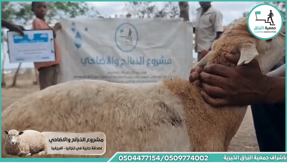 ذبيحة صدقة بنية ولادة المولودة وهي بتمام الصحة والسلامة باقة الغربية