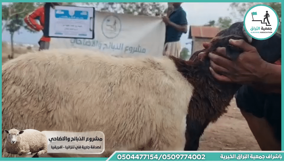 ذبيحة مع اطعام عقيقه عن :- مريم محمد حبشي
