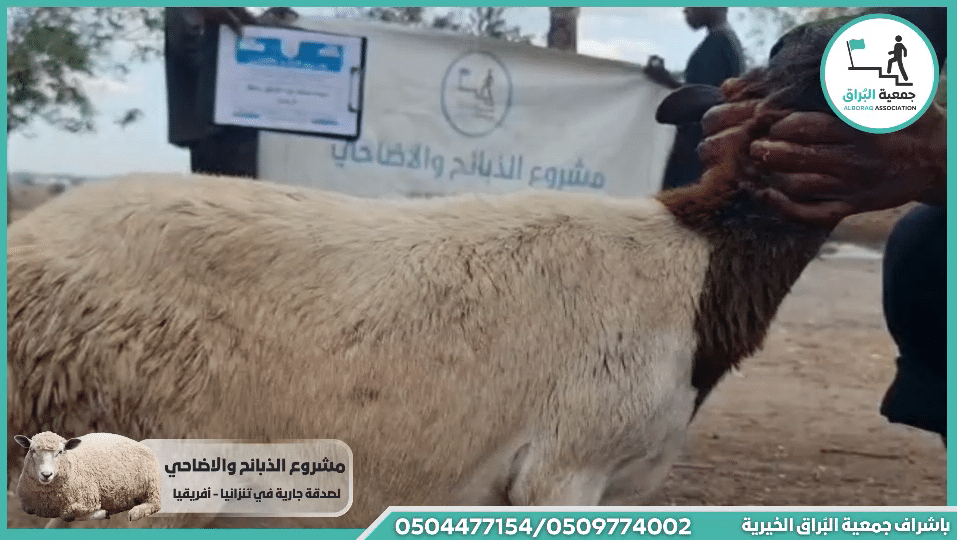ذبيحه صدقه بنيه التوفيق وحفظ الرحمن جت المثلث