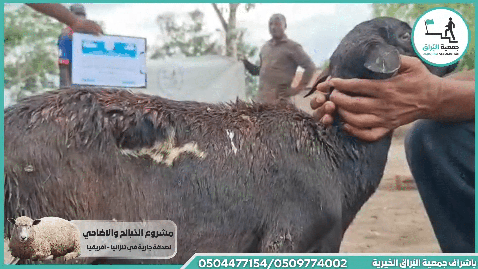 ذبيحه مع اطعام صدقة عن روح المرحوم زياد فهمي ابو مخ باقة الغربية – فلسطين