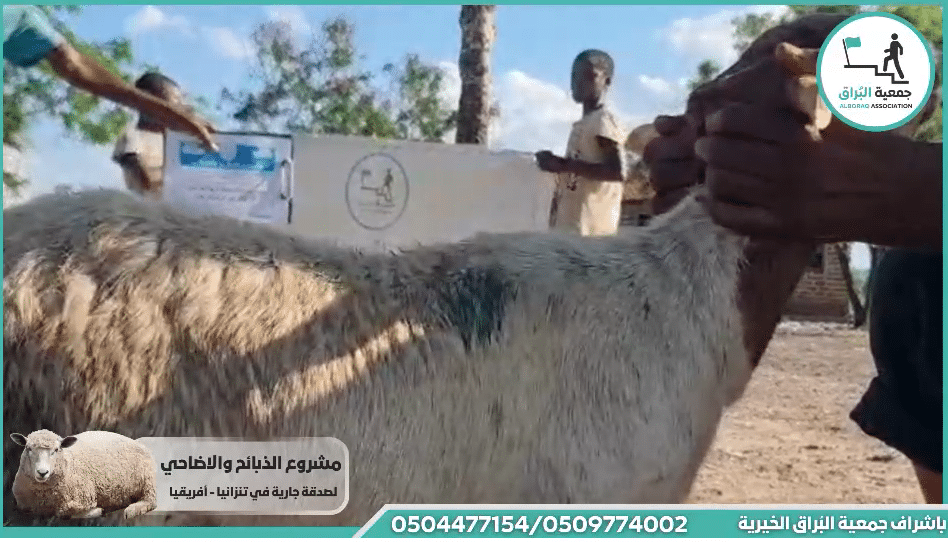 ذبيحه مع اطعام صدقه لوجه الله تعالى عن فاعل خير كريم وال بيته باقة الغربية