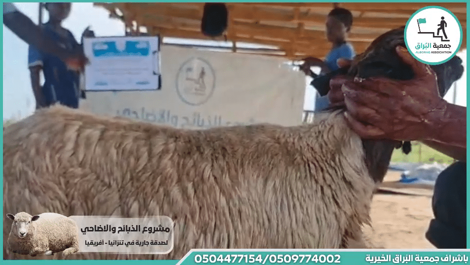 ذبيحه صدقه لوجه الله تعالى من فاعل خير بنيه التوفيق والرزق وحفظ الرحمن من العين والحسد